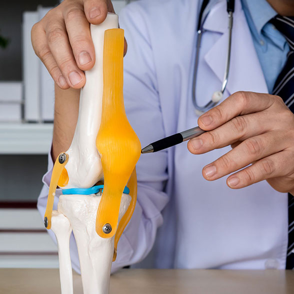 Orthopaedics Traumatology img